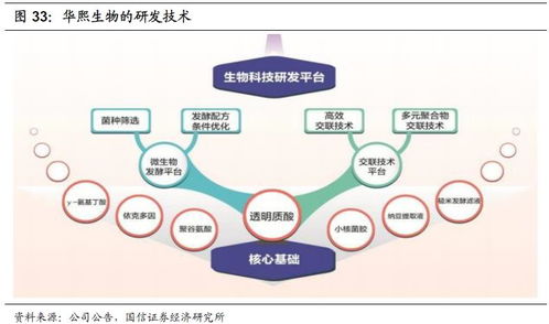 化妝品行業2020年投資展望 產品先行，流量催化，資本助力